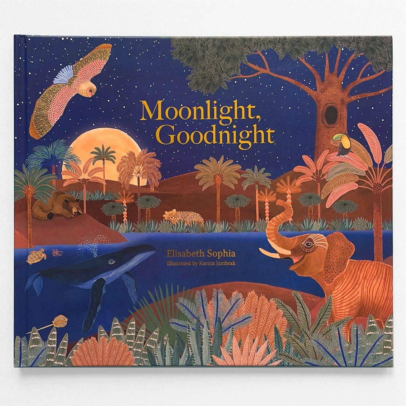 Moonlight Goodnight Hard Cover Book