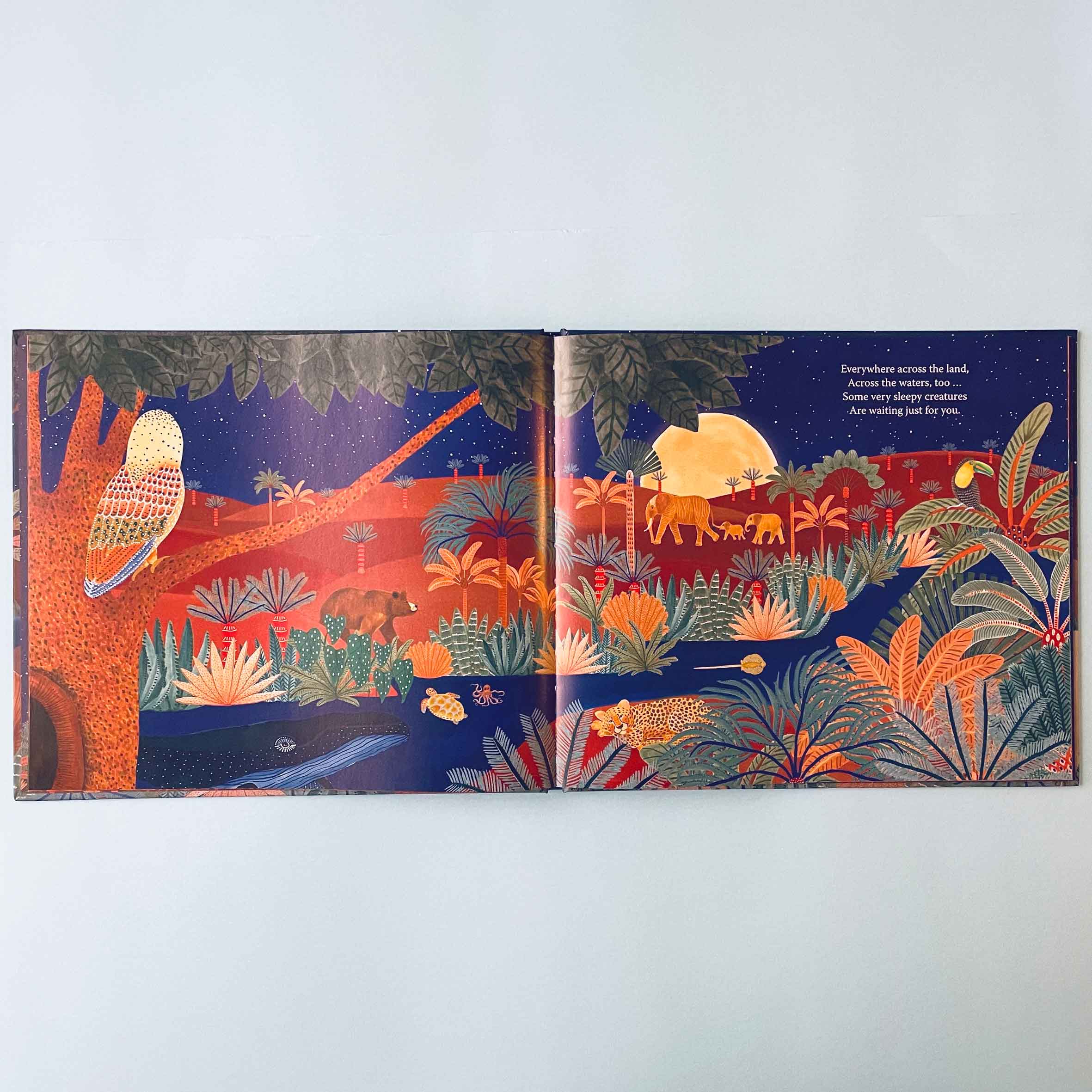 Moonlight Goodnight Hard Cover Book