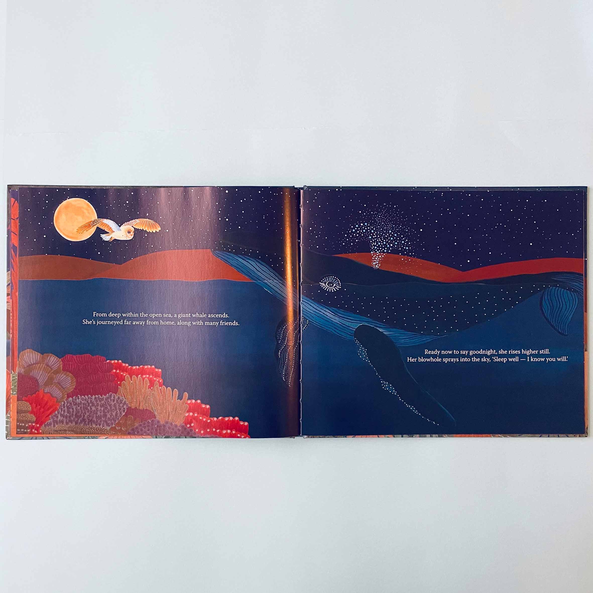 Moonlight Goodnight Hard Cover Book