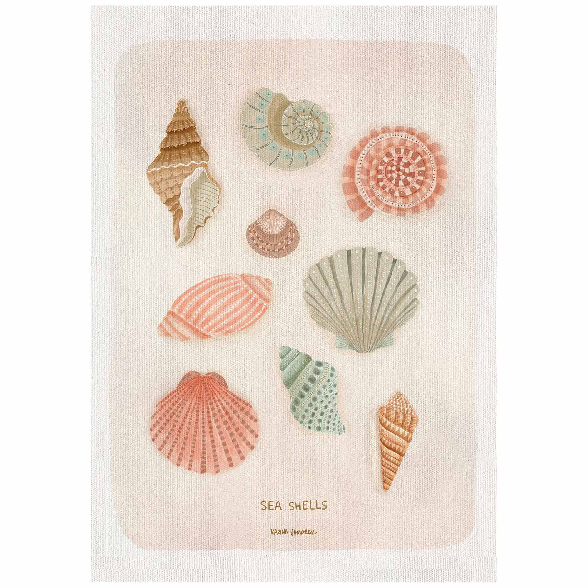 Sea Shells Fine Art Print