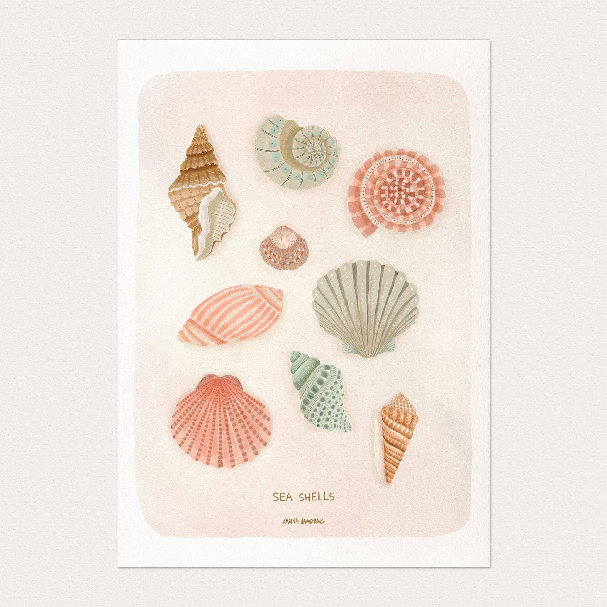 Sea Shells Fine Art Print