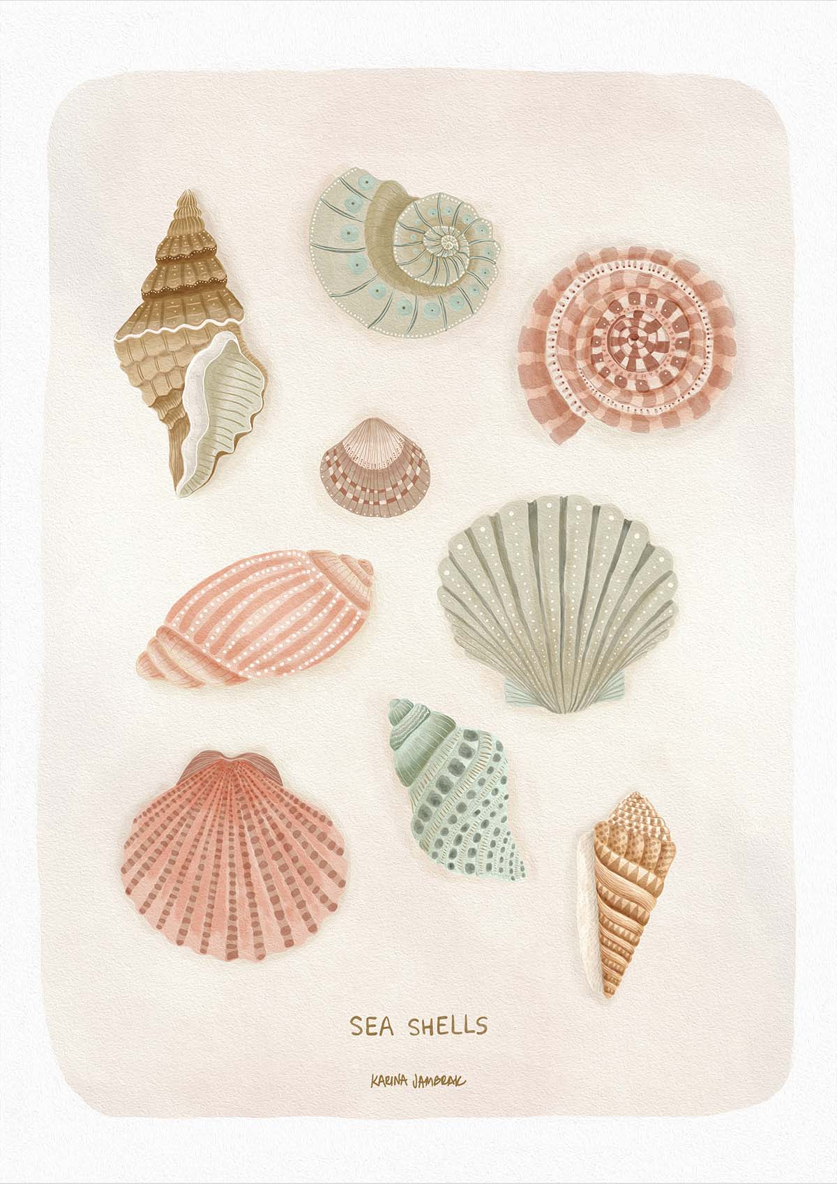 Sea Shells Fine Art Print
