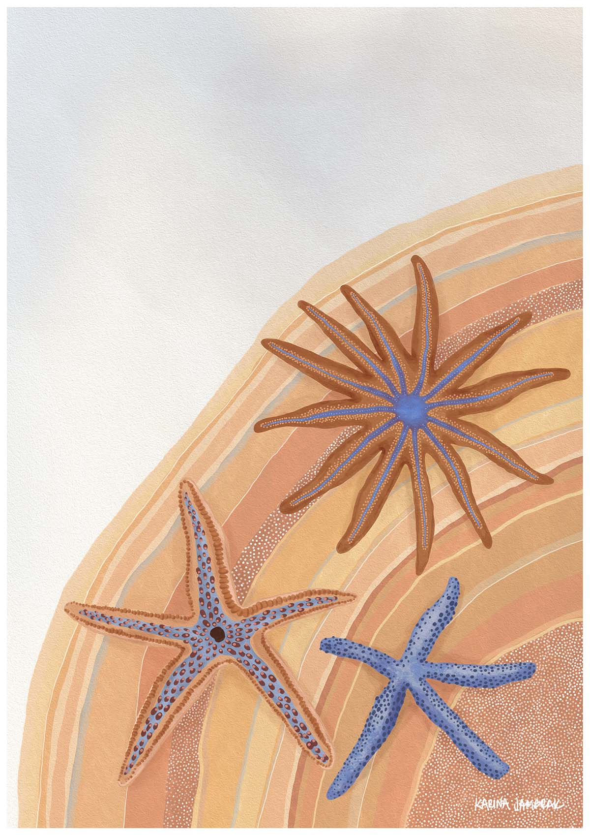 Sparkling Sea Stars Fine Art Print