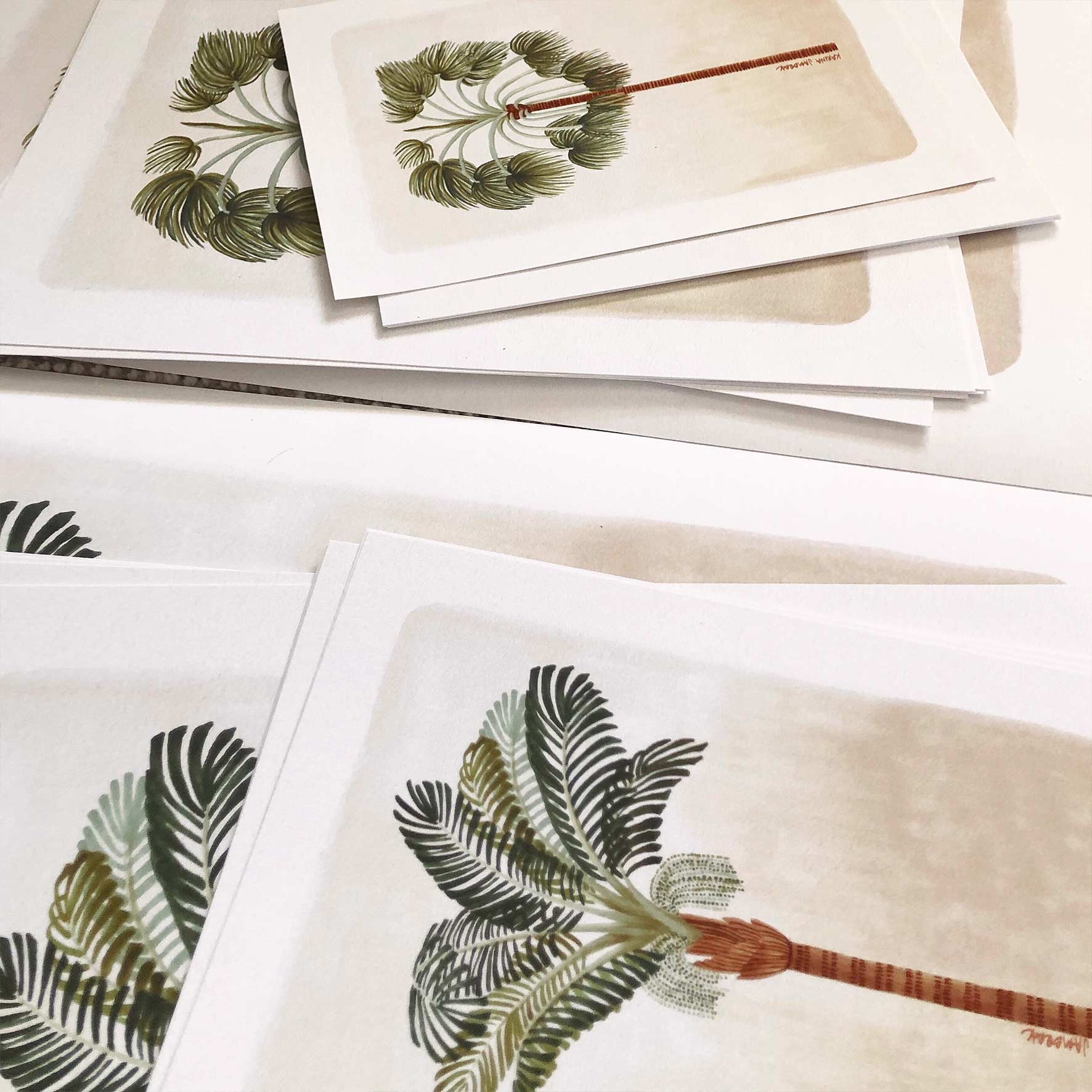 Paradise Palms { 3 } Fine Art Print