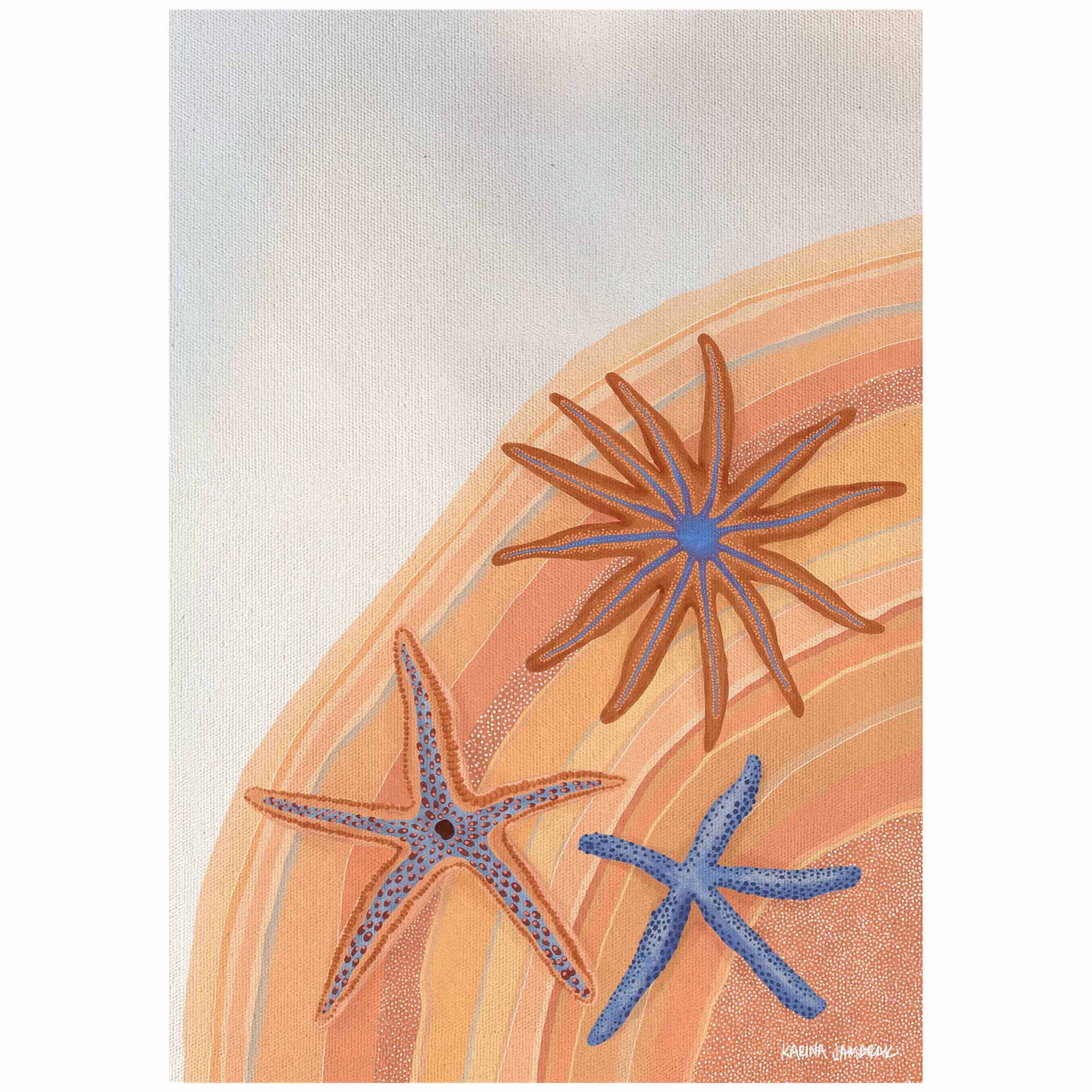 Sparkling Sea Stars Fine Art Print