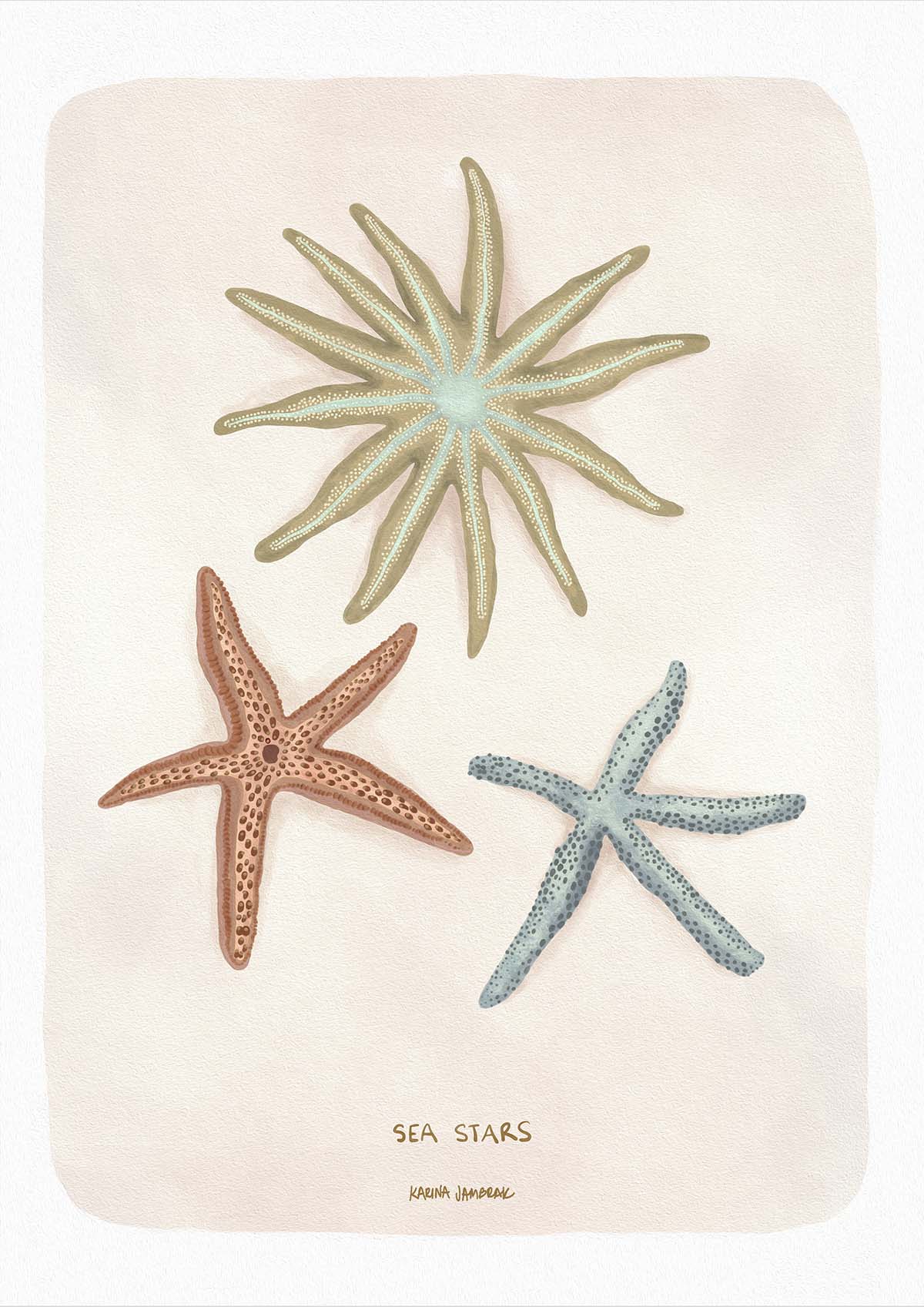 Sea Stars Fine Art Print