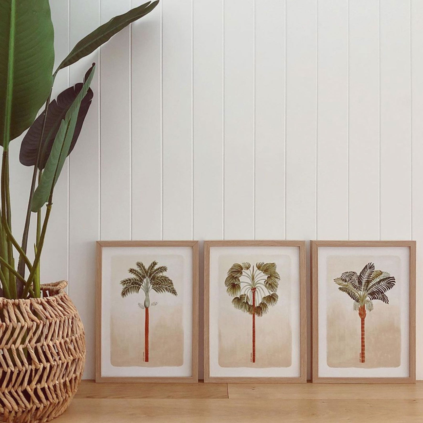 Paradise Palms { 3 } Fine Art Print